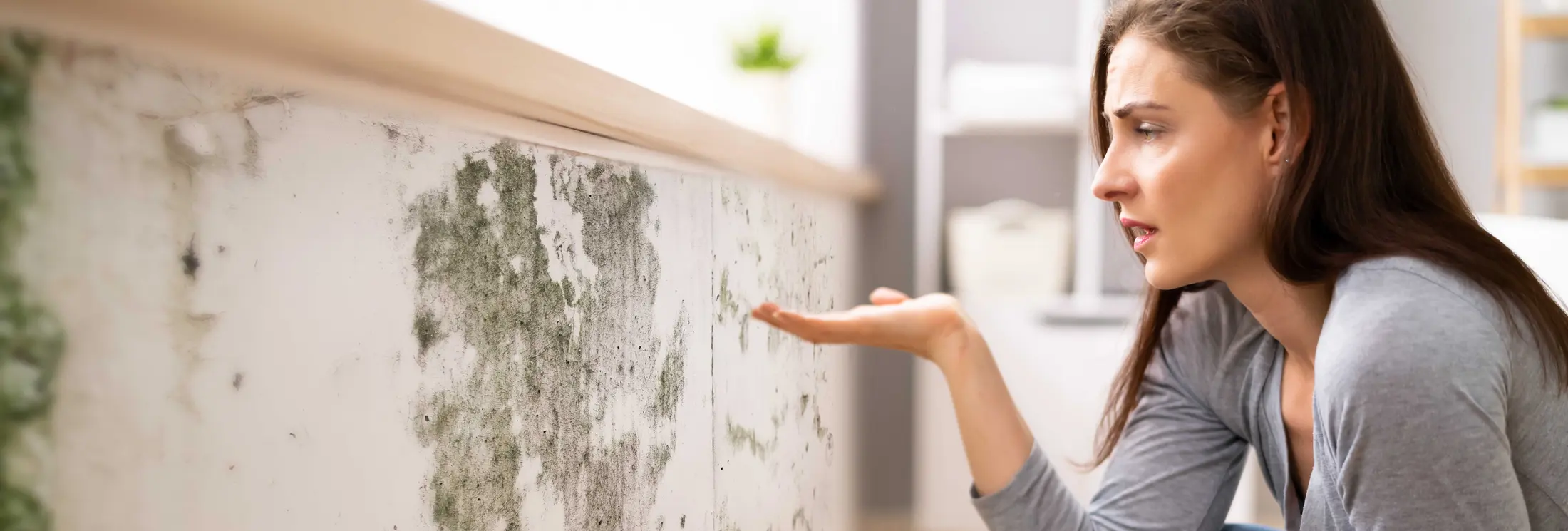 Fallrohrsanierung Nürnberg Fallrohrsanierung Nürnberg